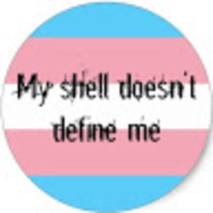 Meet your Posher, Seth e